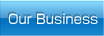 Our Business