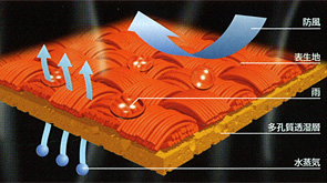DiALiGHT Coating
