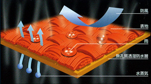 DiALiGHT Lamination